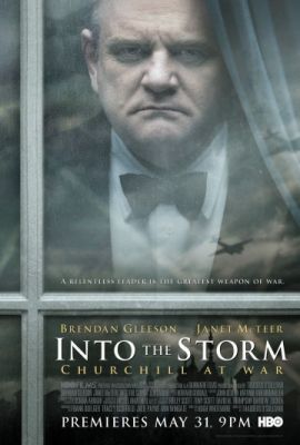 Навстречу шторму (2009)